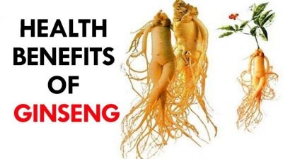 ginseng benefits
