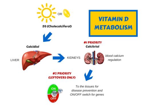 vitamin d3 benefits