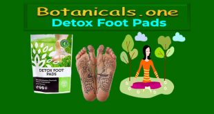 organic detox pads