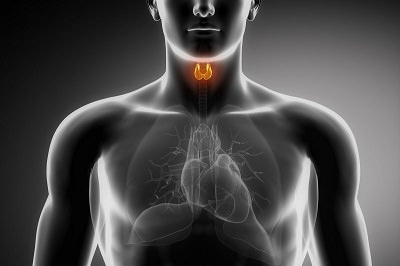 Selenium for Thyroid Health