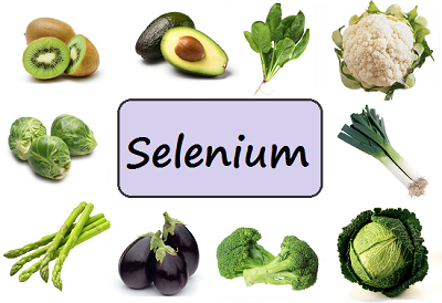 Foods Rich with Selenium