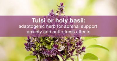 Holy Basil for Stress