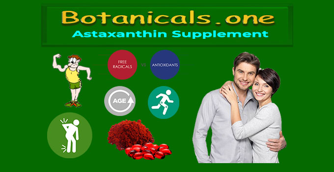 best astaxanthin supplement