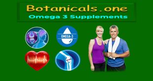 best omega 3 supplements