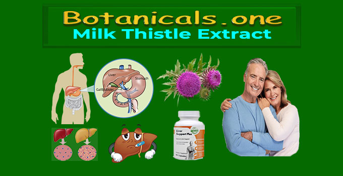 milk thistle extract