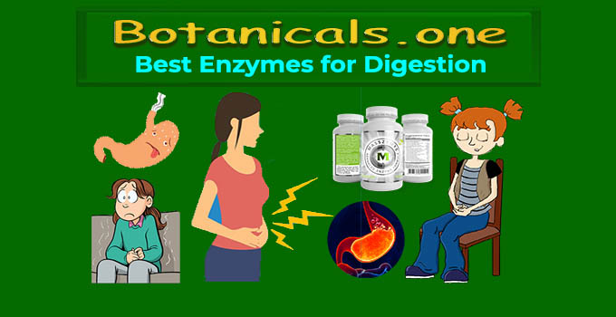 The Best Digestive Enzymes Supplement